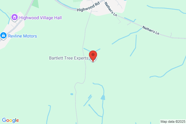 Bartlett Tree Experts