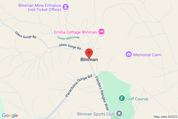 Thane Blinman, MD, MBA
