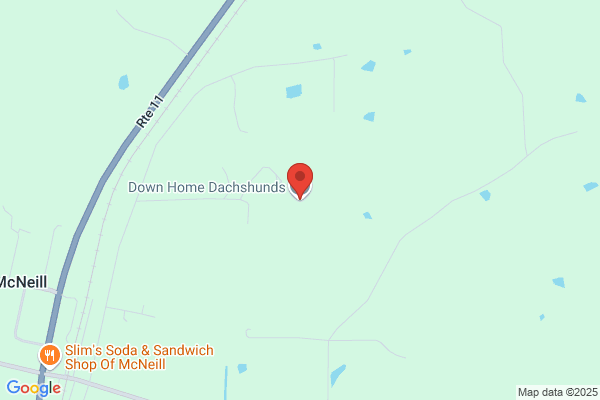 Down Home Dachshunds