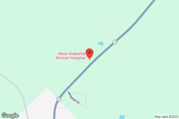 West Alabama Animal Hospital