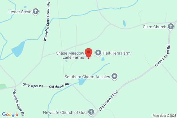 Chase Meadow Lane Farms