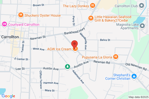 Medlock Auto Electric