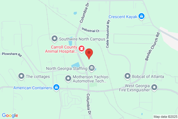 Carrollton Self-Storage Llc