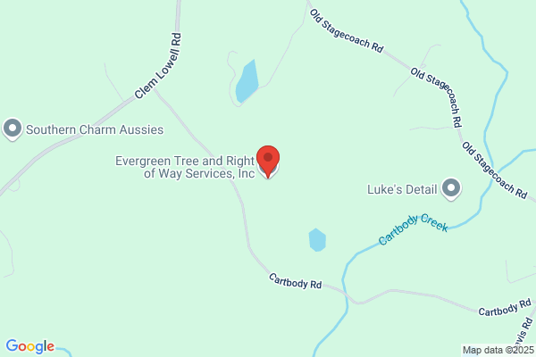 Evergreen Tree Service