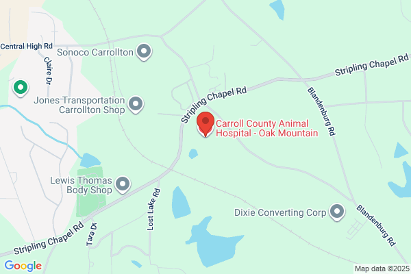 Carroll County Animal Hospital