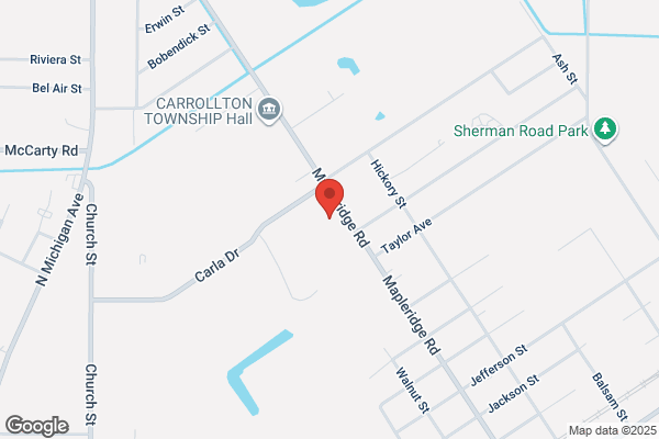 Carrollton Public Schools, High School