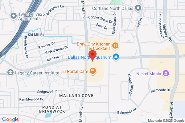 Dance Institute of Dallas