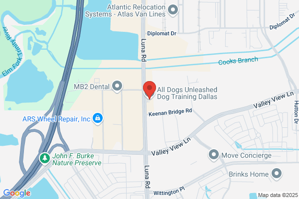 All Dogs Unleashed Dog Training Dallas