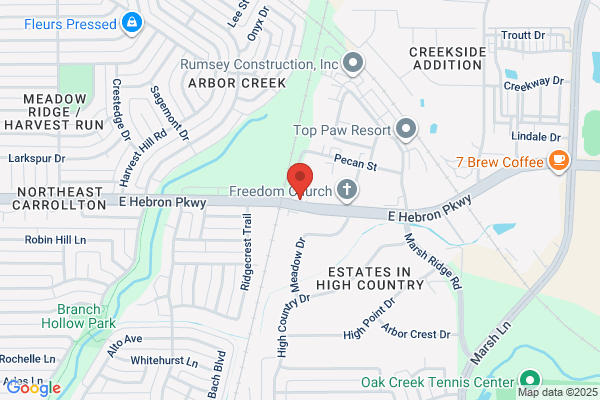 Carollton Tree Service