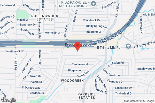 Springtree Group