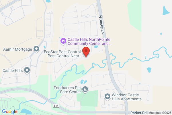 Dallas Pest & Termite Services