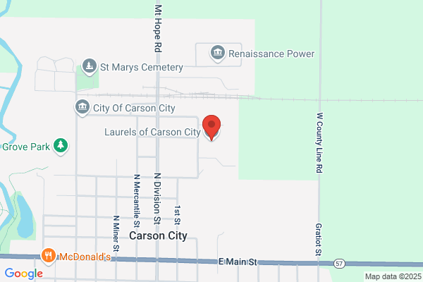 The Laurels of Carson City