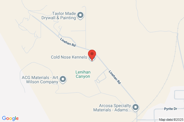 Cold Nose Kennels