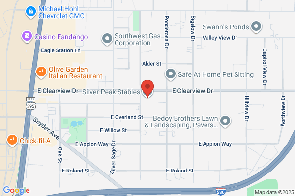 Silver Peak Stables