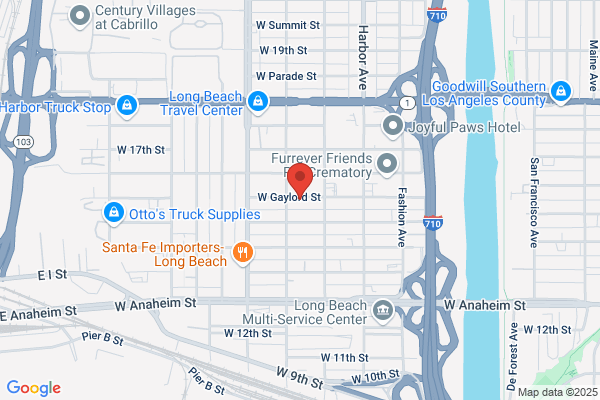 Q Transport