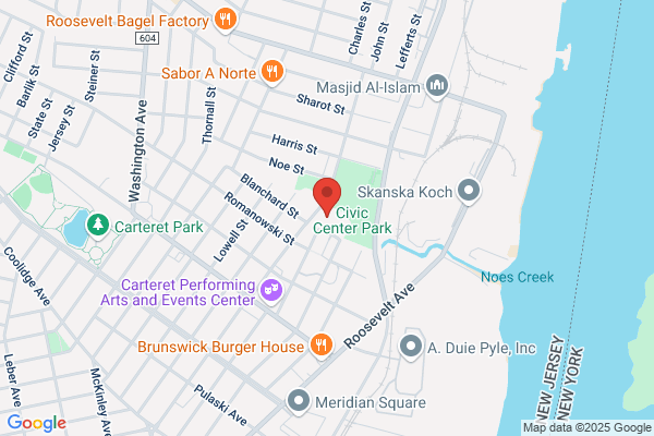 Carteret Borough of, Library
