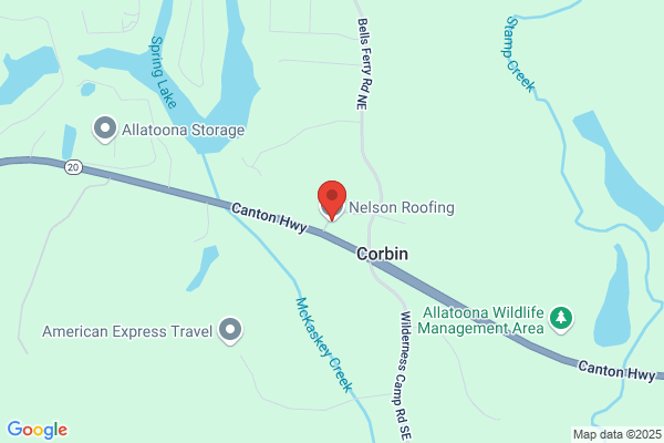 Nelson Roofing