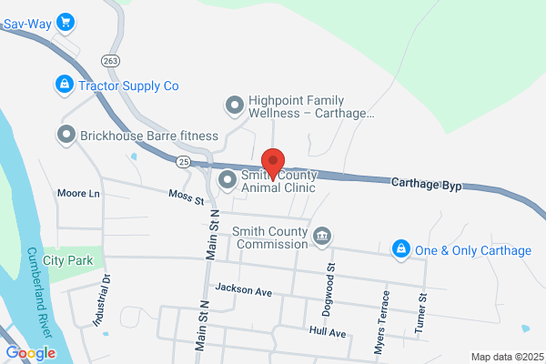 Fast Pace Dermatology - Carthage, TN