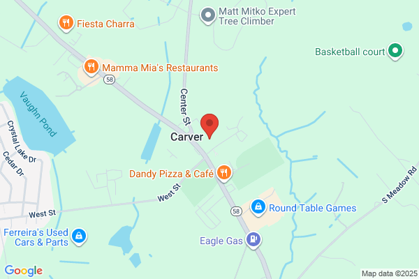 Carver Town of, Library
