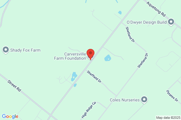 Carversville Cemetery Association
