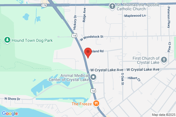 General Insurance Services