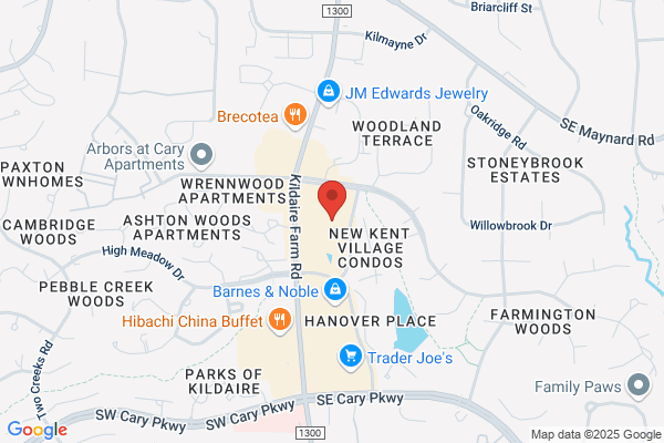 Advance Auto Parts