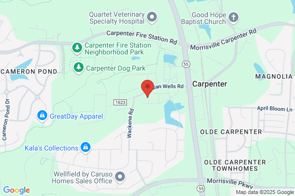 Cary Family Chiropractic