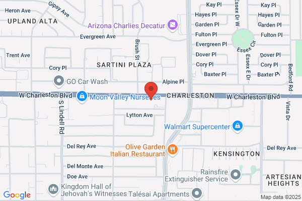 Schlotzsky's Deli