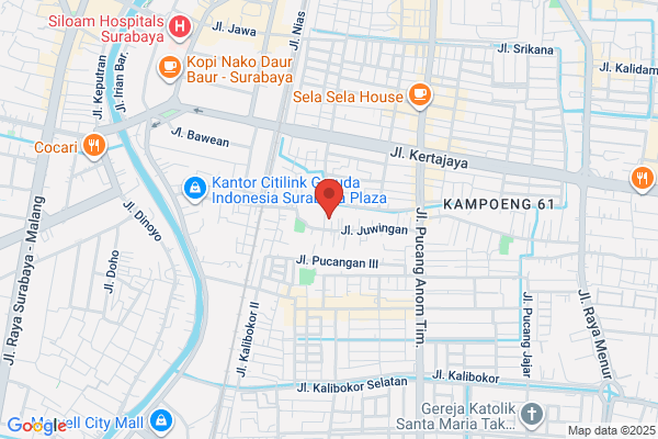 Ami Tailor, DMD