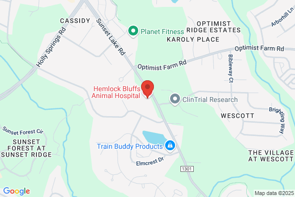 Hemlock Bluffs Animal Hospital