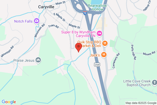Caryville Limestone