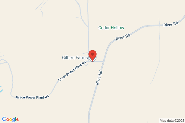 Gilbert Guy Farms