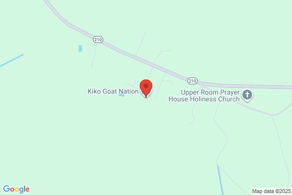 NC Kikos
