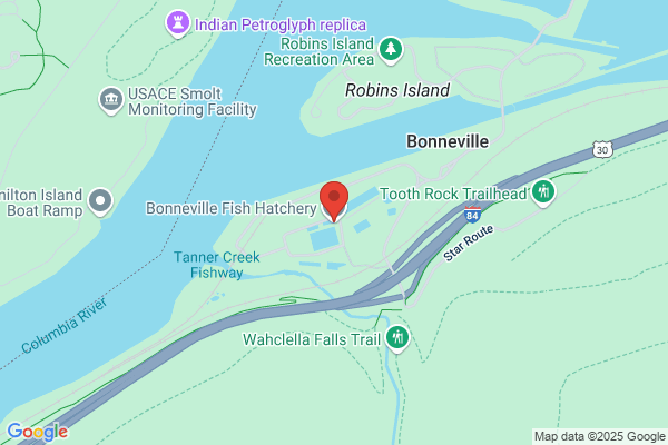 Bonneville Fish Hatchery