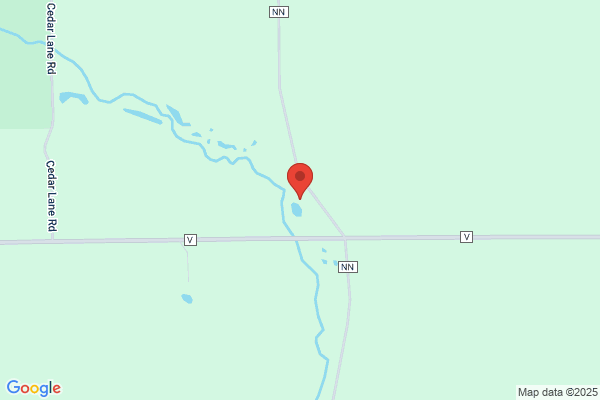 Cedar Spring Trout Fishing