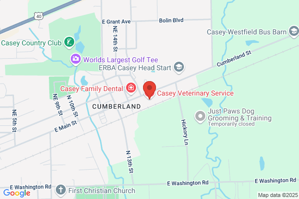 Casey Veterinary Service