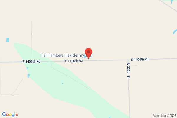 Tall Timbers Taxidermy