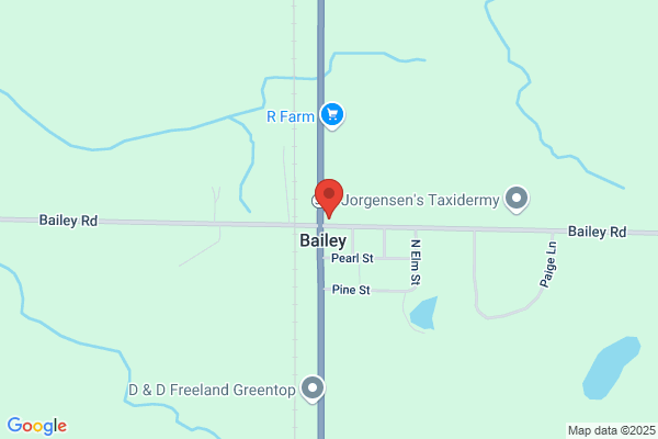 Bailey Auto