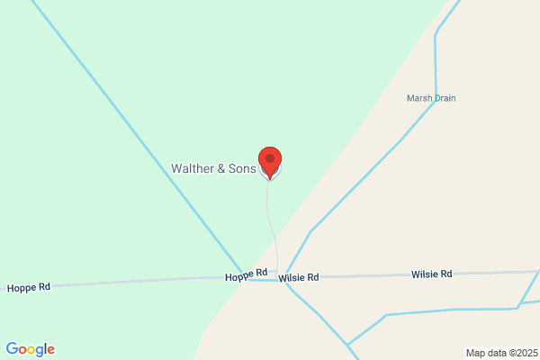 Walther & Sons