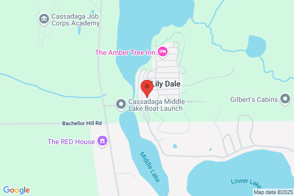 Lily Dale Assembly, Library