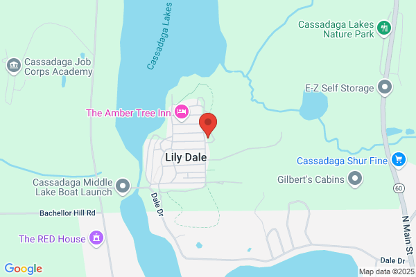 Lily Dale Volunteer Fire Department Inc