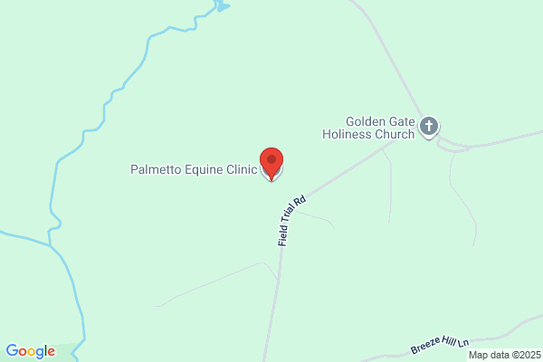 Palmetto Equine Clinic