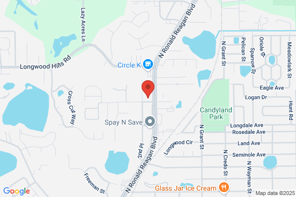 Budget Blinds of Oviedo and East Orlando