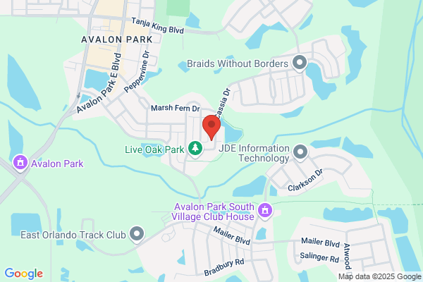 Orlando Landscape