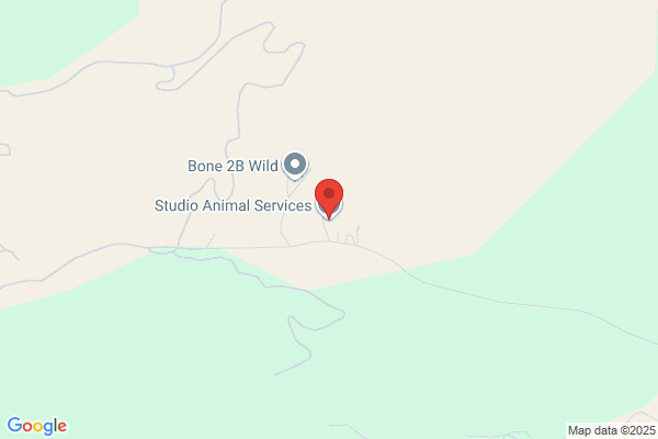 Studio Animal Services