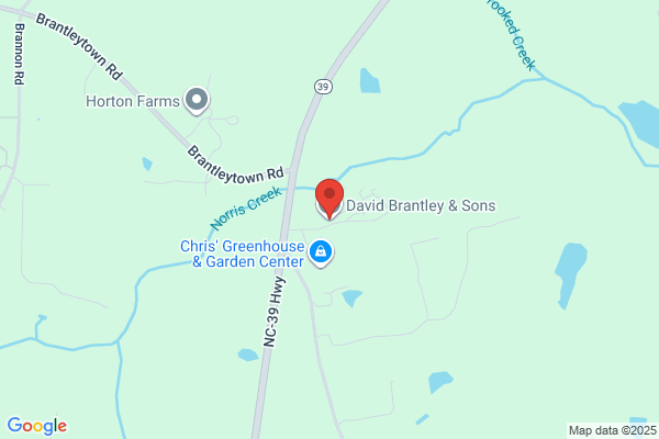 Brantley & Sons Inc