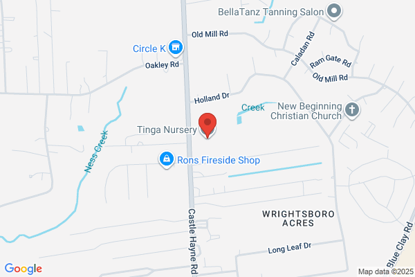 Tinga Nursery Inc