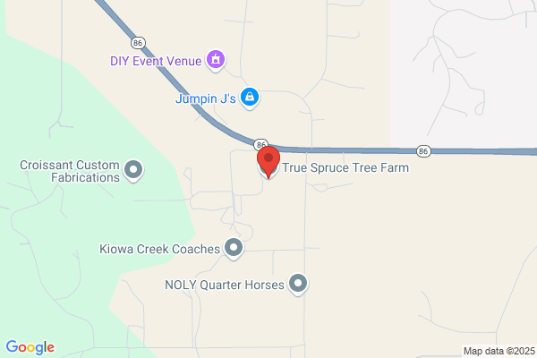 Plum Creek Tree Farm