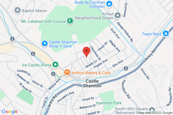 Castle Shannon Library