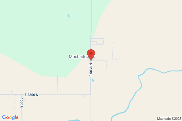 M & J MacHado Dairy